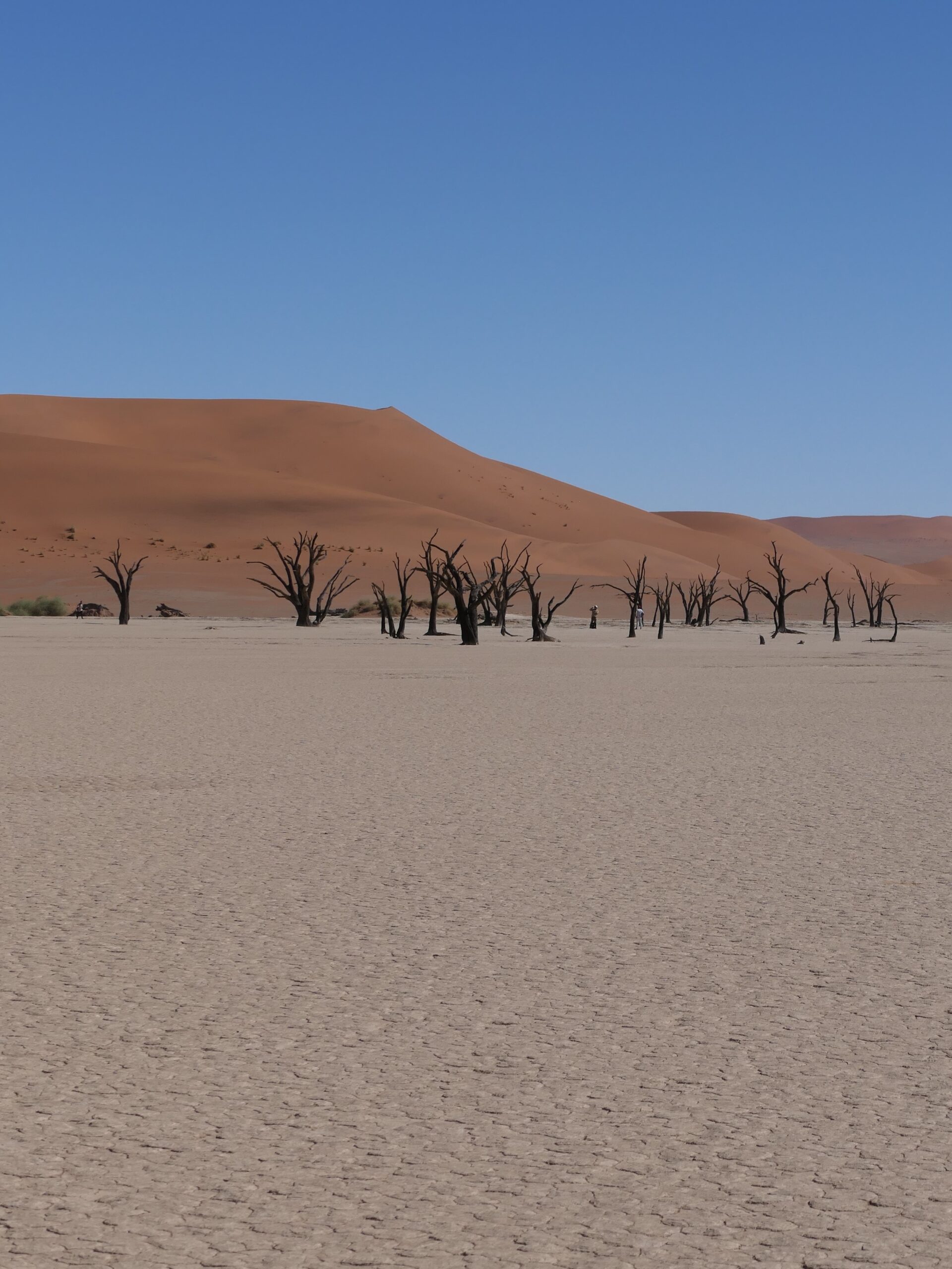deadvlei-namibia-01