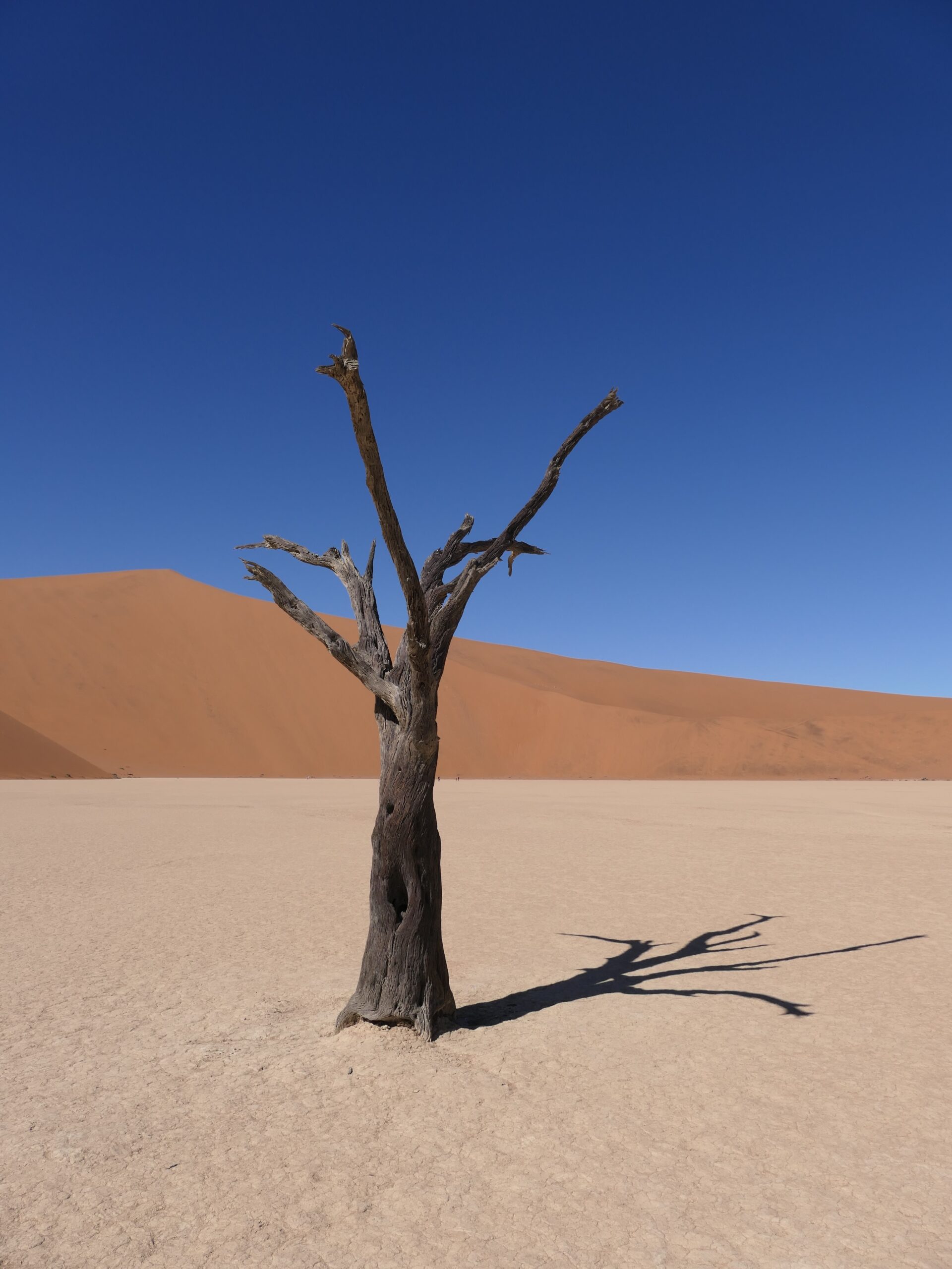 deadvlei-namibia-02