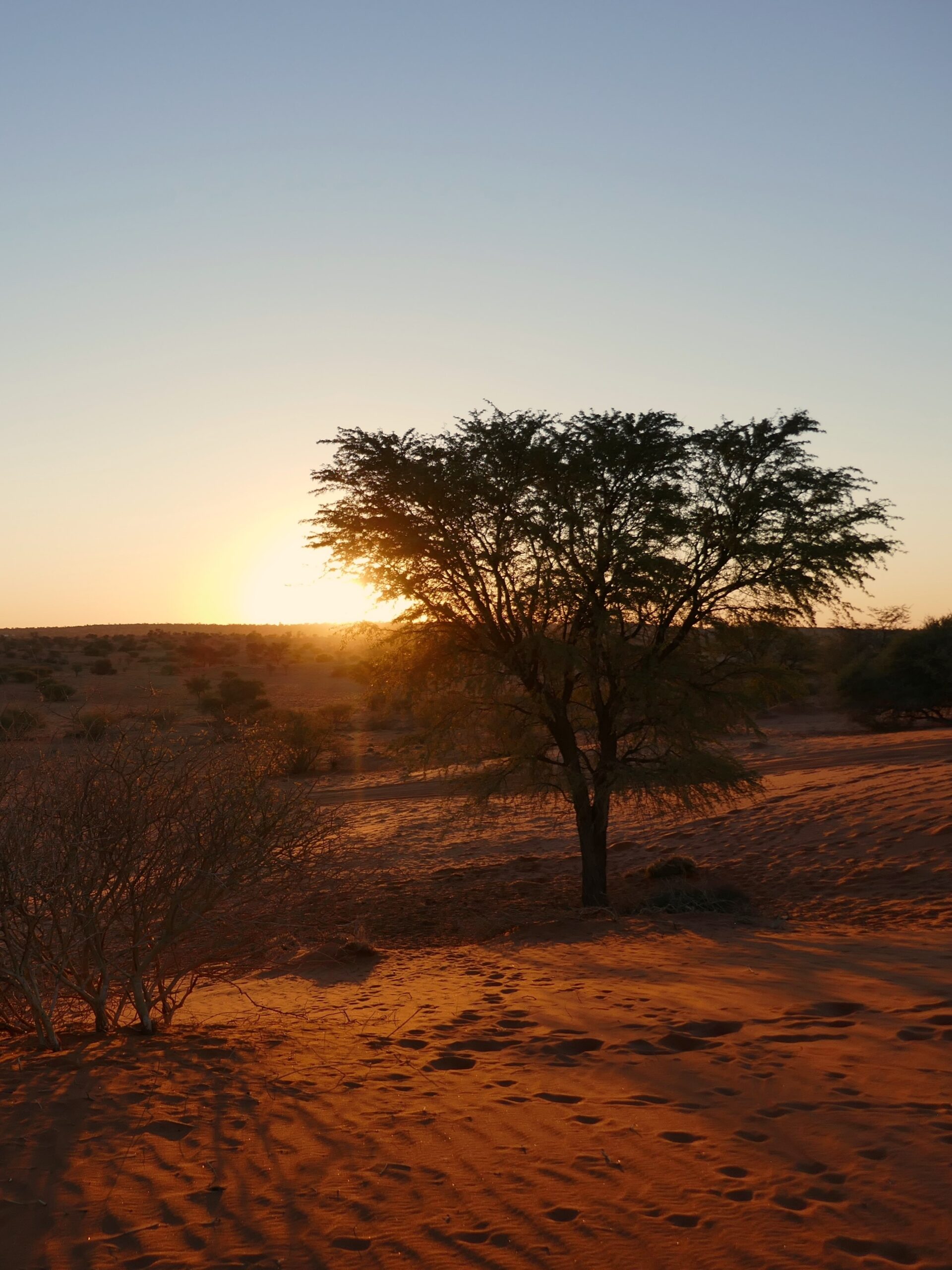 deserto-kalahari-tramonto-01