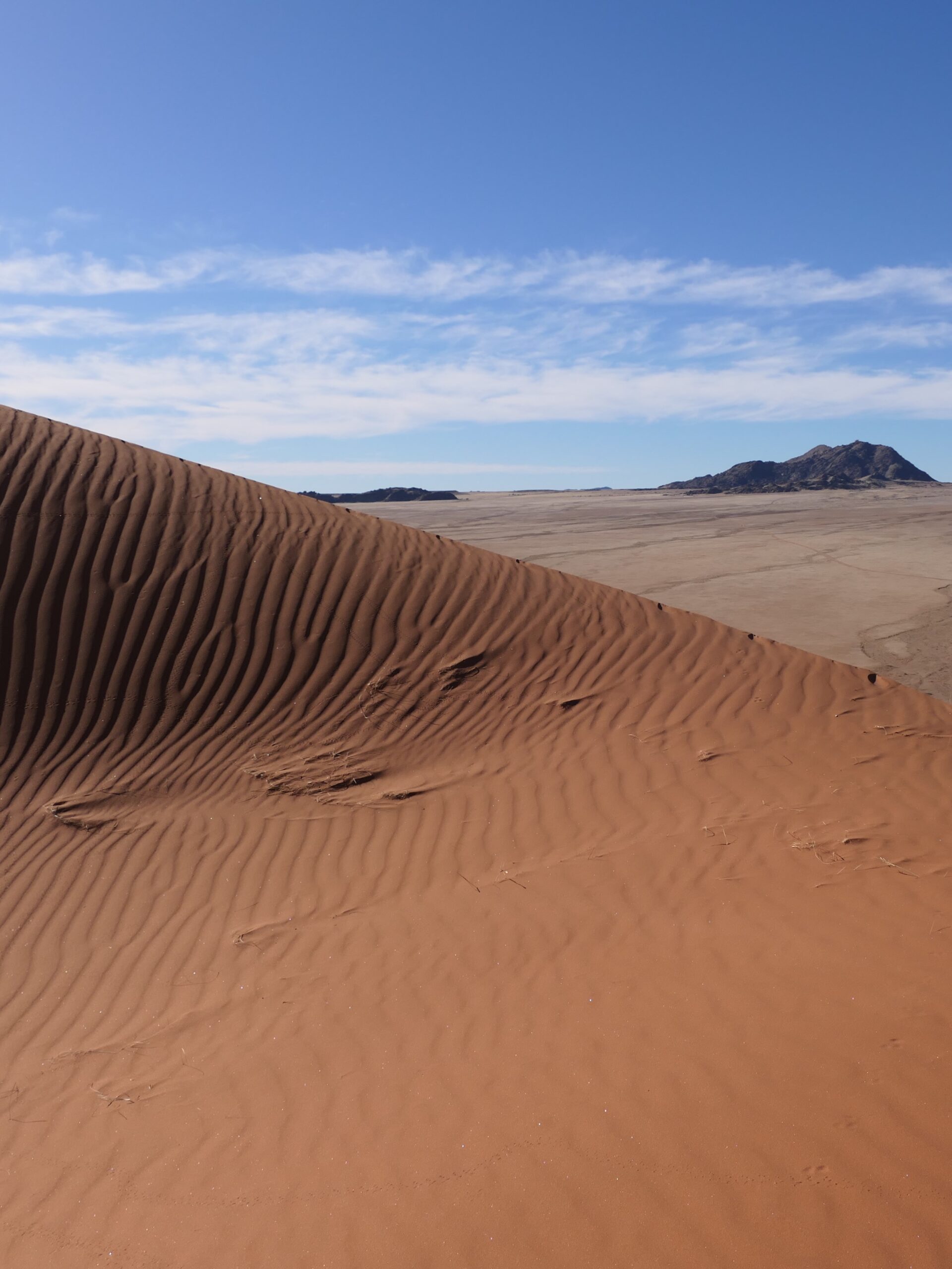 dune-namib-03