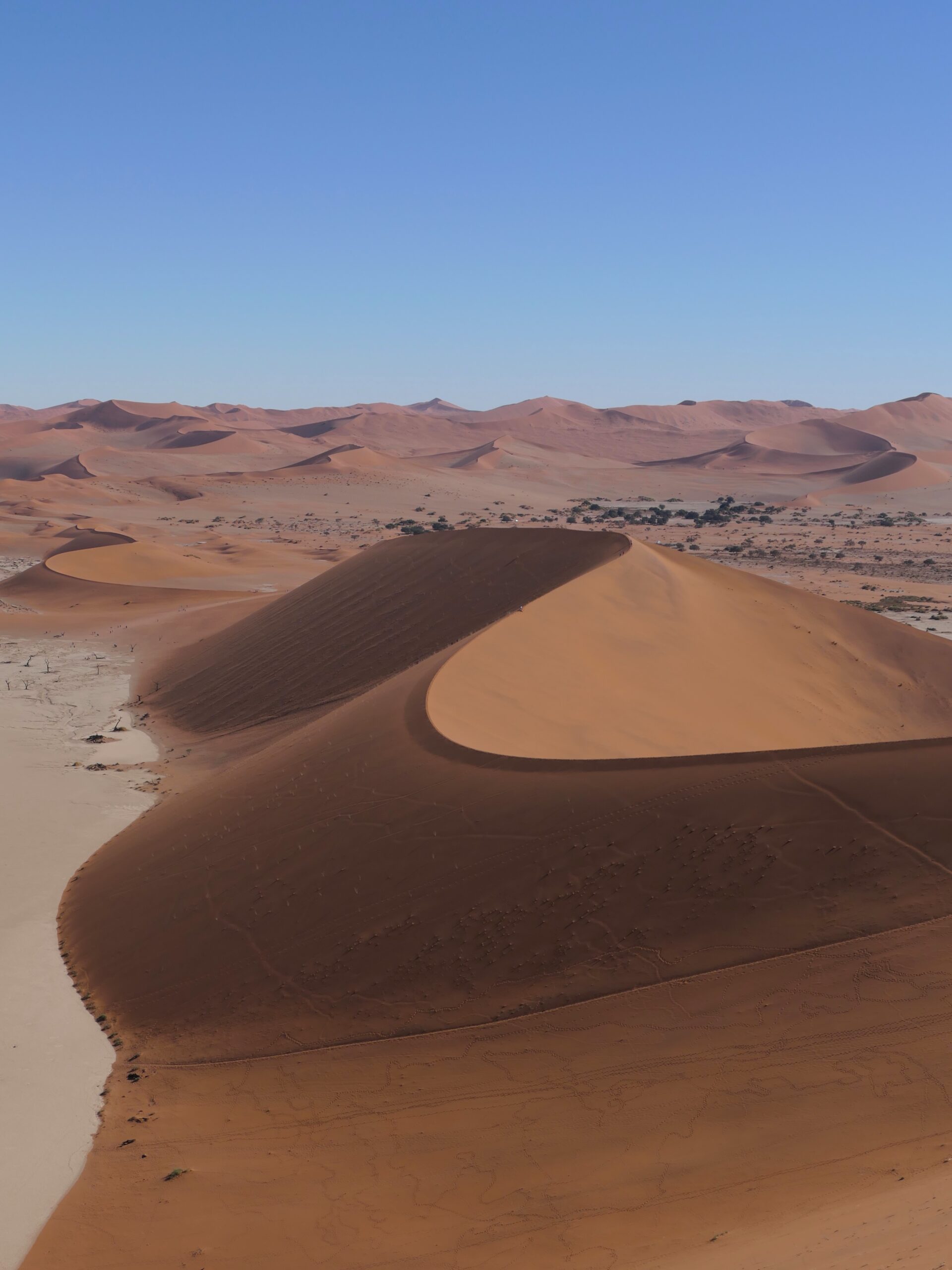 dune-namib-05