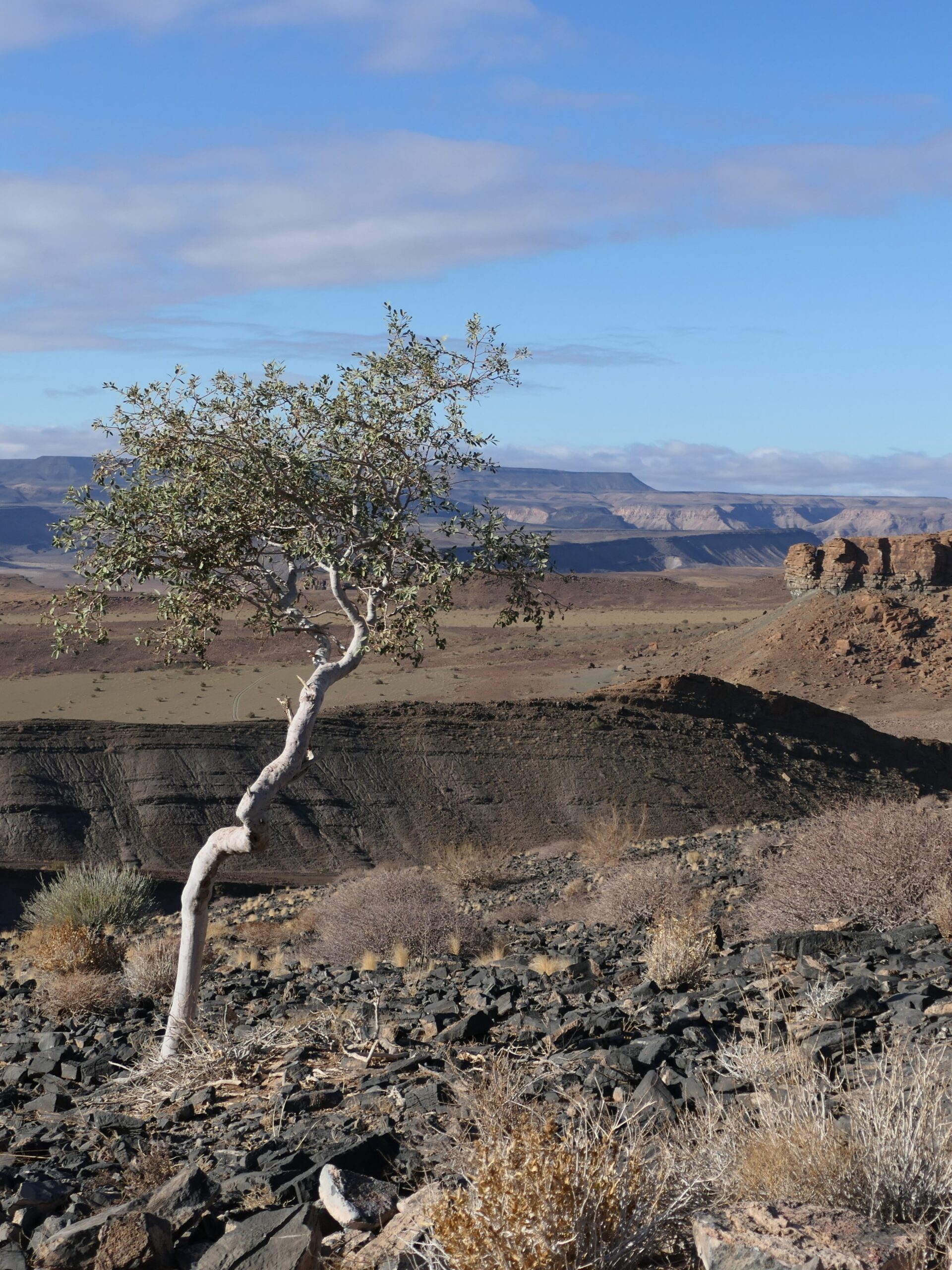 fish-river-canyon-05