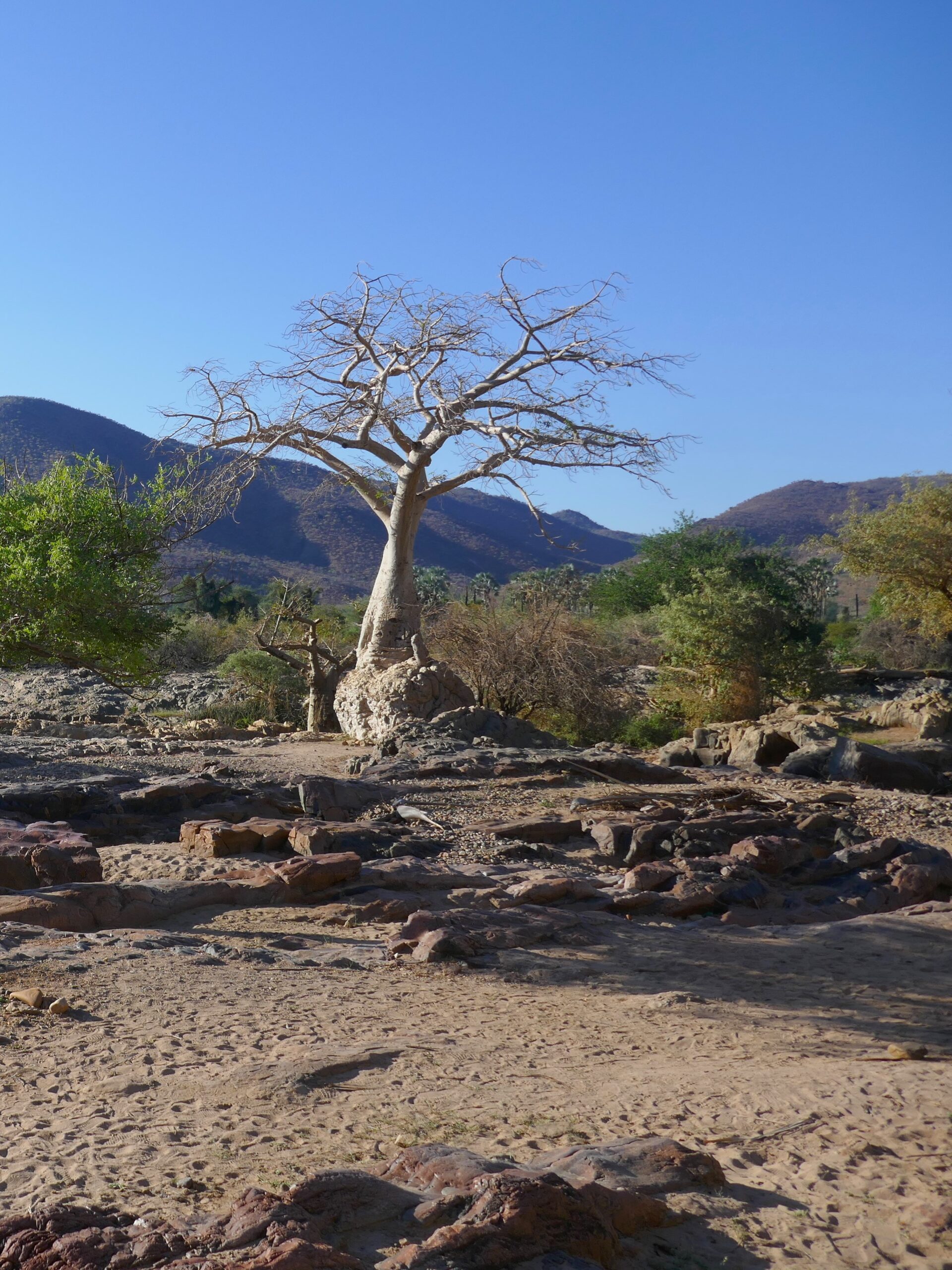 kaokoland-cascate-epupa-05