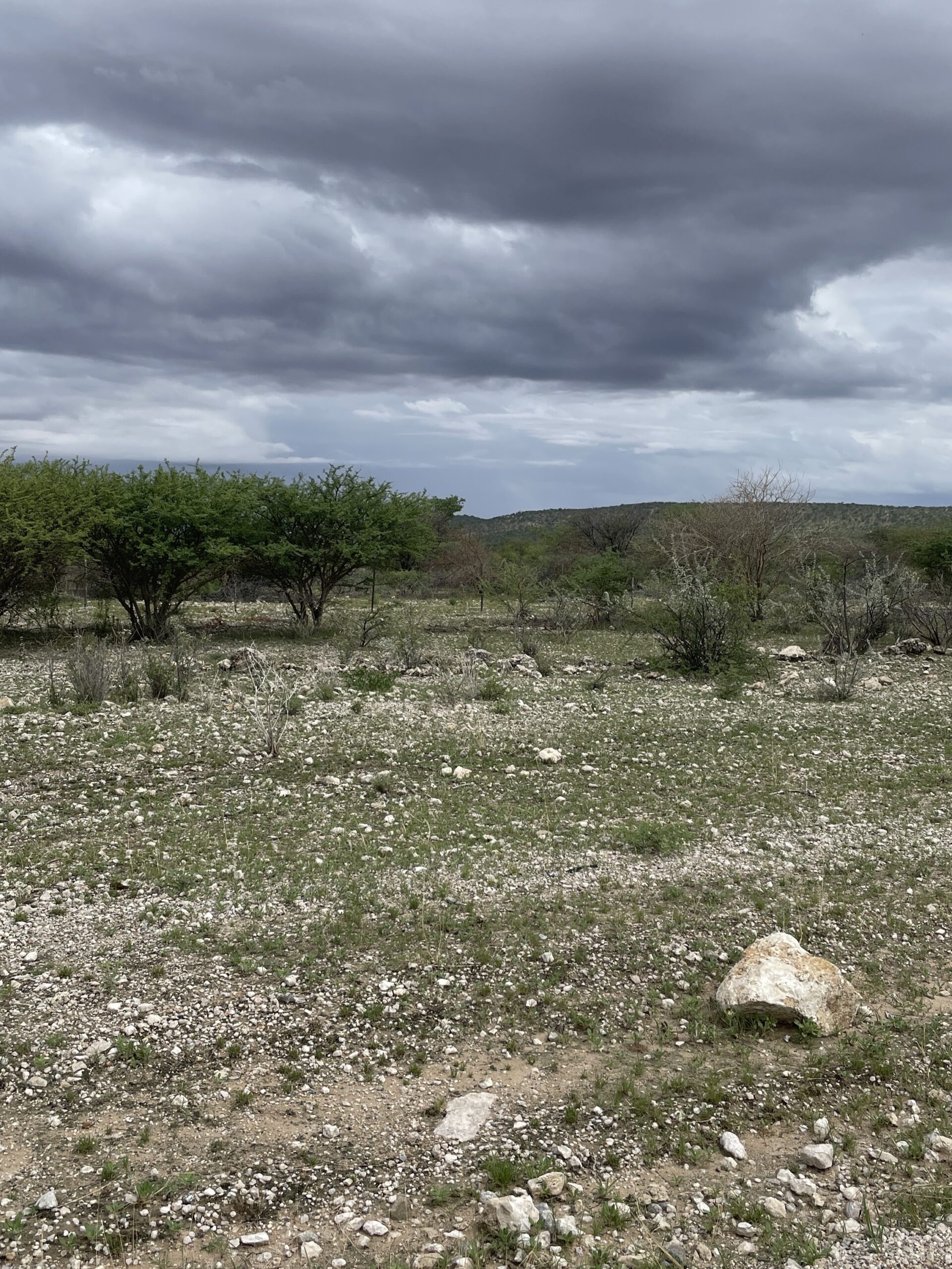 kaokoland-panorama-01