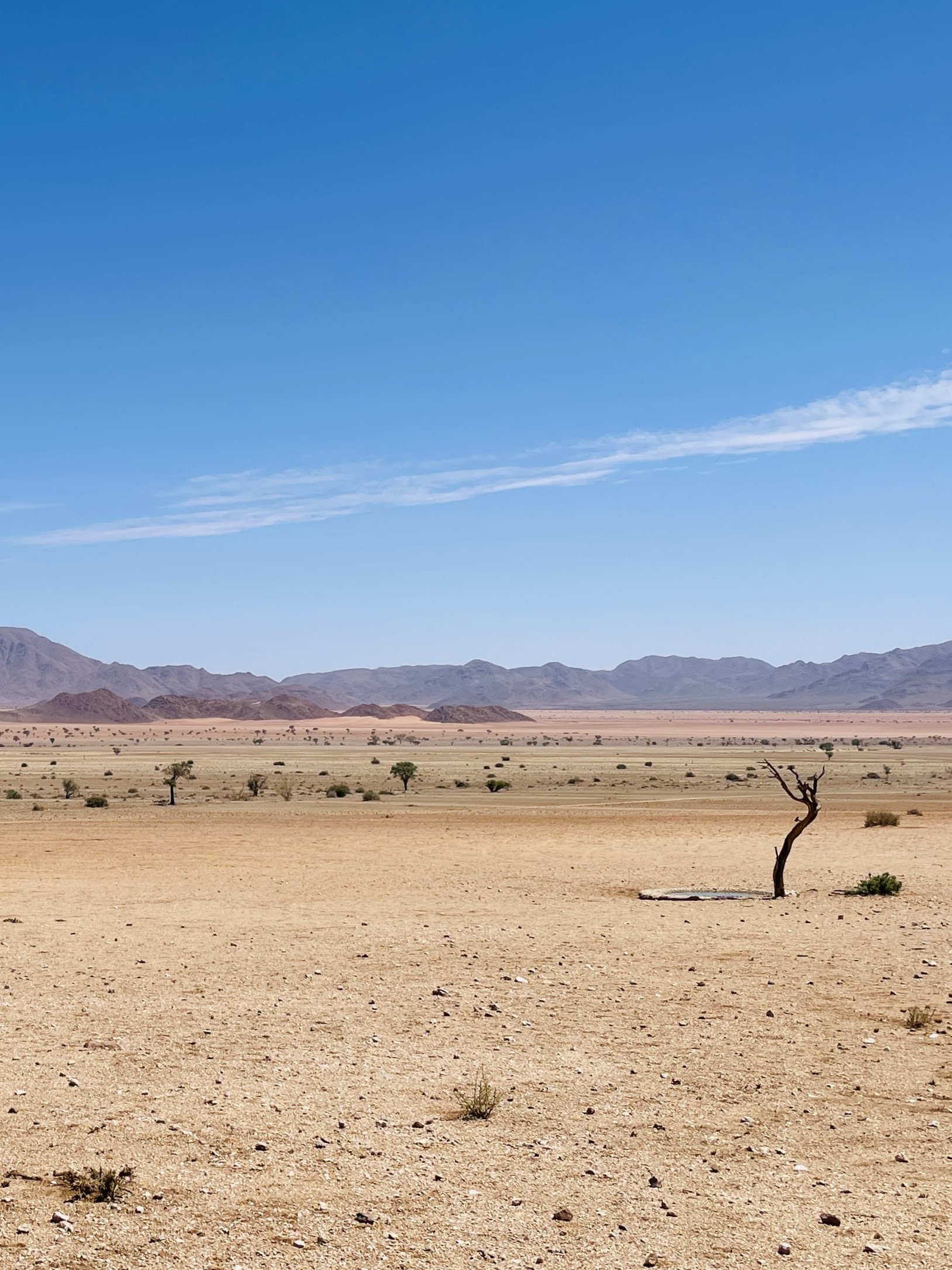 namibia-deserto