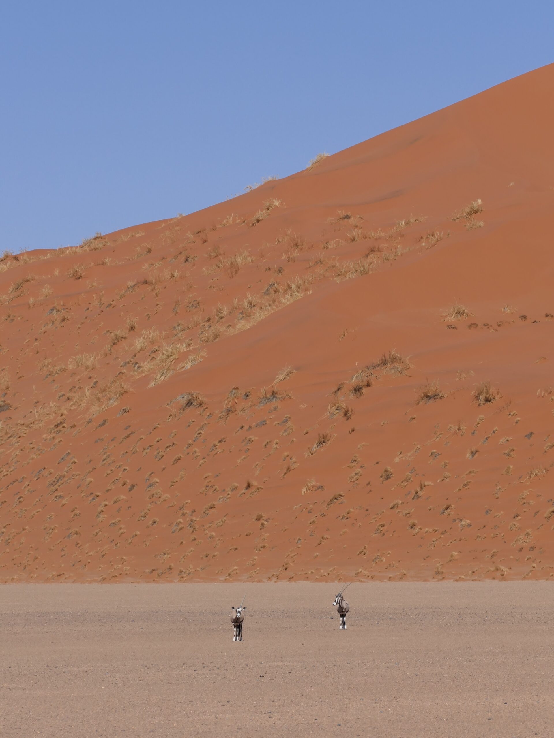 oice-dune-namibia-2