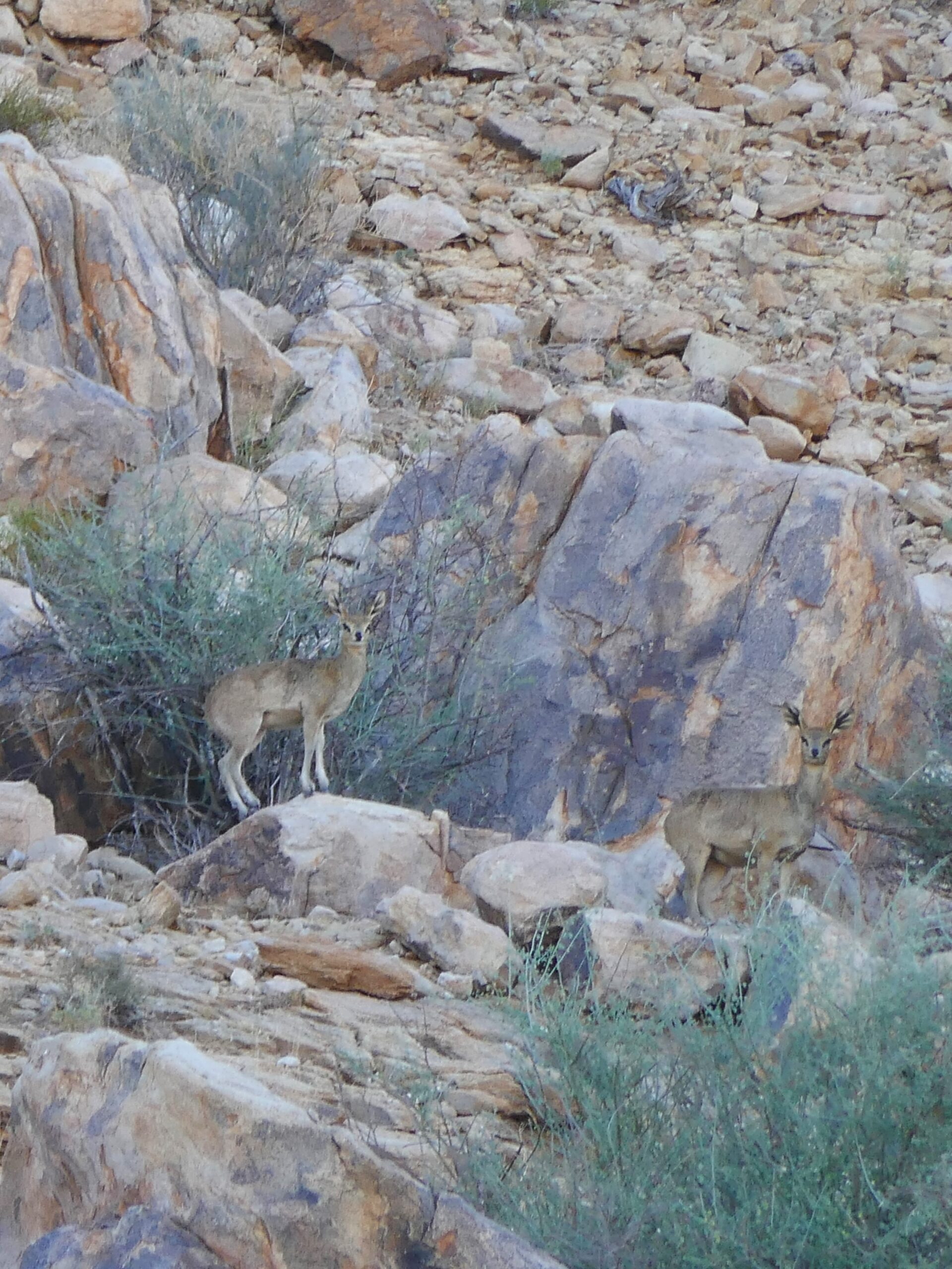 saltarupi-fish-river-canyon