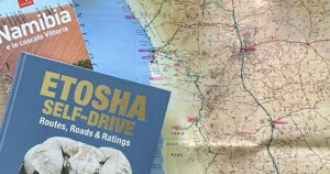 Viaggio self-drive in Namibia