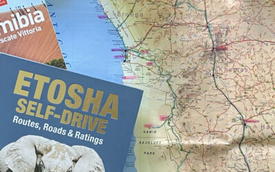 Come organizzare un viaggio self-drive in Namibia