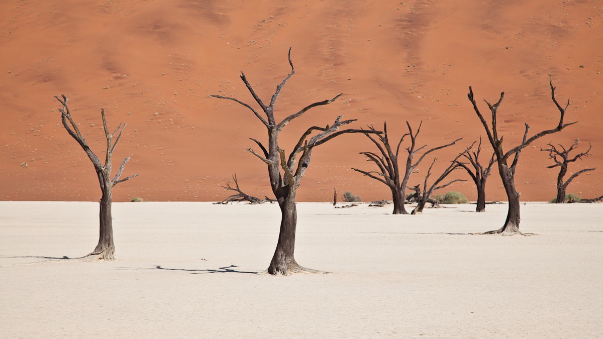 Deadvlei Namibia alberi morti e dune