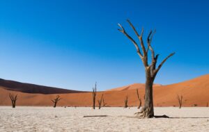 Deadvlei Namibia