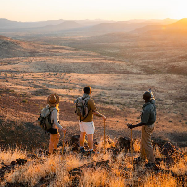 Walking safari