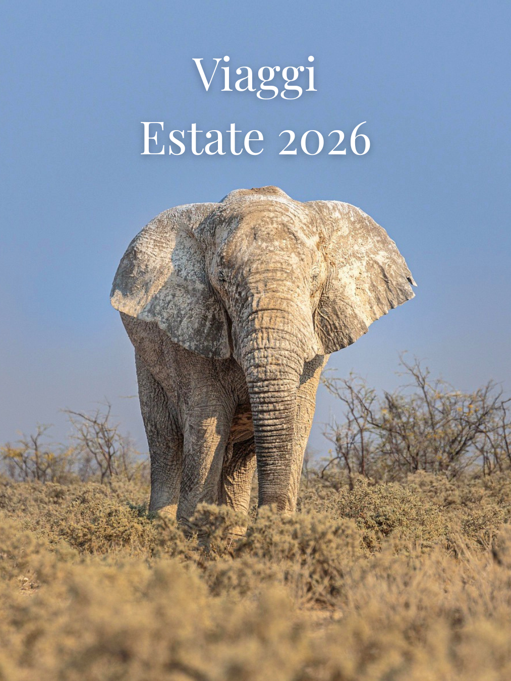 Viaggi Namibia estate luglio agosto 2026